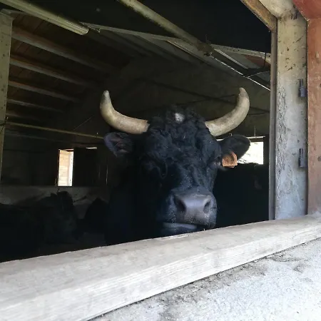 Vers Le Bois * ואלסאברנקה