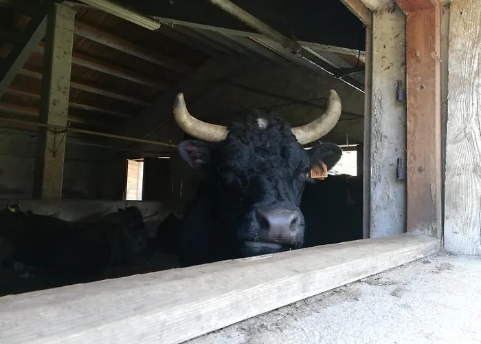 Vers Le Bois * ואלסאברנקה