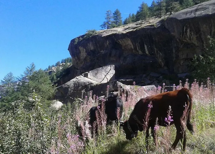 Vers Le Bois * 瓦尔萨瓦伦凯