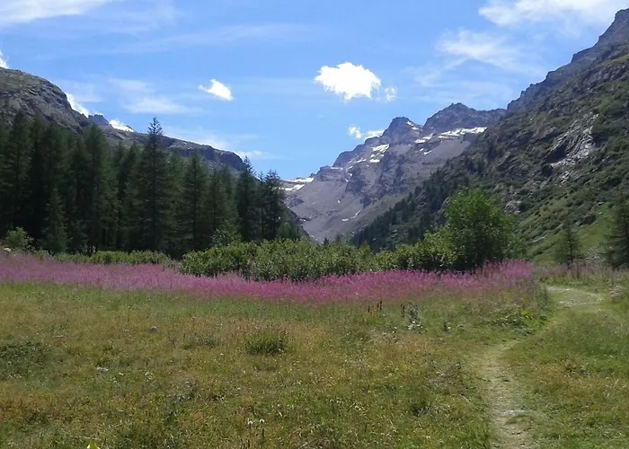 בית הארחה Vers Le Bois *