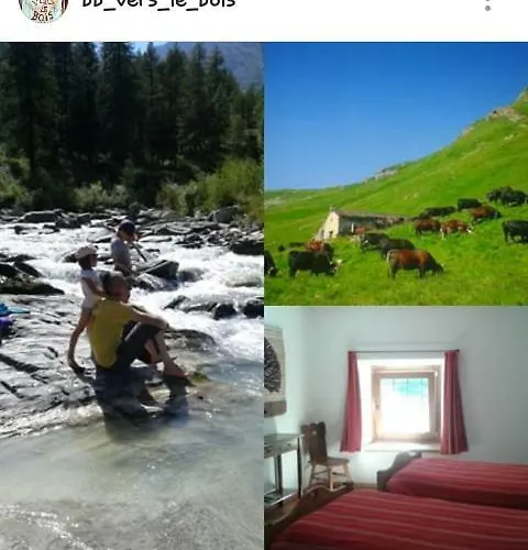 Vers Le Bois בית הארחה ואלסאברנקה